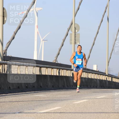 03.10.2025 - Köhlbrandbrückenlauf Strokosch-Dieckow http://msf.ph/oto/9104009 03.10.2025 09:27:27 Position 2  meine-sportfotos.de
