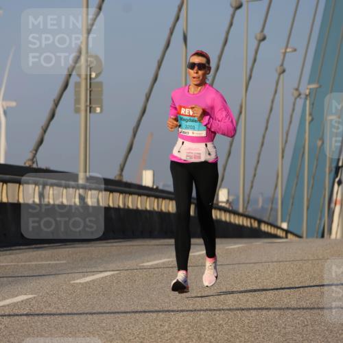 03.10.2025 - Köhlbrandbrückenlauf Strokosch-Dieckow http://msf.ph/oto/9104969 03.10.2025 09:31:47 Position 2 3203 meine-sportfotos.de