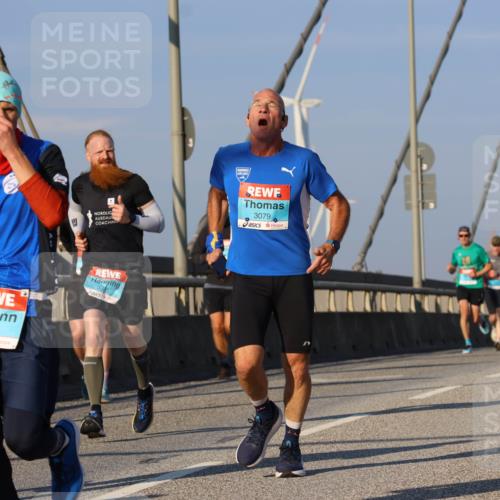 03.10.2025 - Köhlbrandbrückenlauf Strokosch-Dieckow http://msf.ph/oto/9107720 03.10.2025 09:37:34 Position 2 3593, 2955, 3079 meine-sportfotos.de