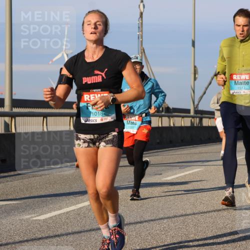 03.10.2025 - Köhlbrandbrückenlauf Strokosch-Dieckow http://msf.ph/oto/9108836 03.10.2025 09:39:38 Position 2 5203, 1018, 1330, 1517 meine-sportfotos.de