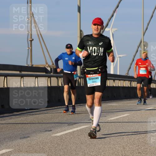 03.10.2025 - Köhlbrandbrückenlauf Strokosch-Dieckow http://msf.ph/oto/9109107 03.10.2025 09:40:09 Position 2 3264 meine-sportfotos.de