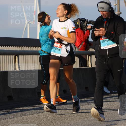 03.10.2025 - Köhlbrandbrückenlauf Strokosch-Dieckow http://msf.ph/oto/9111114 03.10.2025 09:43:33 Position 2 3341, 1559 meine-sportfotos.de