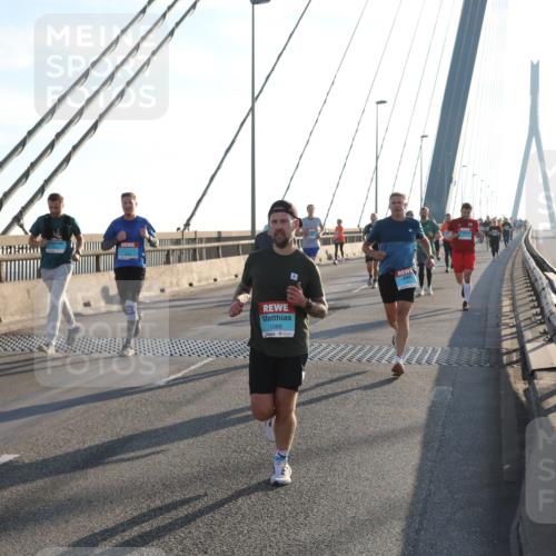 03.10.2025 - Köhlbrandbrückenlauf Yannick Fuchs http://msf.ph/oto/9140778 03.10.2025 08:25:40 Position 2 1088 meine-sportfotos.de