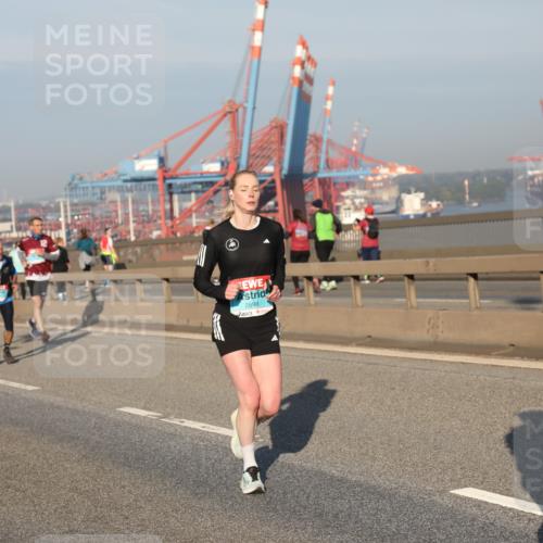 03.10.2025 - Köhlbrandbrückenlauf Yannick Fuchs http://msf.ph/oto/9150123 03.10.2025 08:41:59 Position 2 2698 meine-sportfotos.de