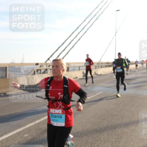 03.10.2025 - Köhlbrandbrückenlauf Yannick Fuchs http://msf.ph/oto/9175455 03.10.2025 08:24:26 Position 1 3630 meine-sportfotos.de
