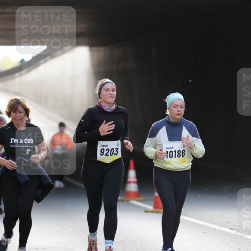 05.10.2025 - 20. swb-Marathon Bremen Michael Strokosch http://msf.ph/oto/9208664 05.10.2025 11:06:18 Laufen 9203, 10186 meine-sportfotos.de