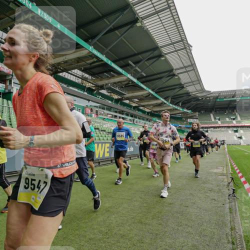 05.10.2025 - 20. swb-Marathon Bremen Michael Burmester http://msf.ph/oto/9224406 05.10.2025 10:34:31 Laufen im Stadion 7101, 7147, 7215, 9266, 9292, 9309, 9314, 9372, 9430, 9472, 9489, 9521, 9540, 9547, 9585, 9591, 9669, 9672, 9714, 9719, 9720, 9766, 9783, 9797, 9820, 9844, 9847, 9872, 9881, 9882, 9902, 9925, 9932, 9943, 9947, 9952, 9981, 10003, 10005, 10009, 10015, 10024, 10028, 10069, 10080, 10088, 10107, 10111, 10116, 10178, 10191, 10195, 10196, 10200, 10231, 10260, 10261, 10285, 10302, 10329, 10341, 10397, 10398, 10408, 10424, 10466, 10527, 10590, 10641, 10645, 10648, 10653, 9529 meine-sportfotos.de