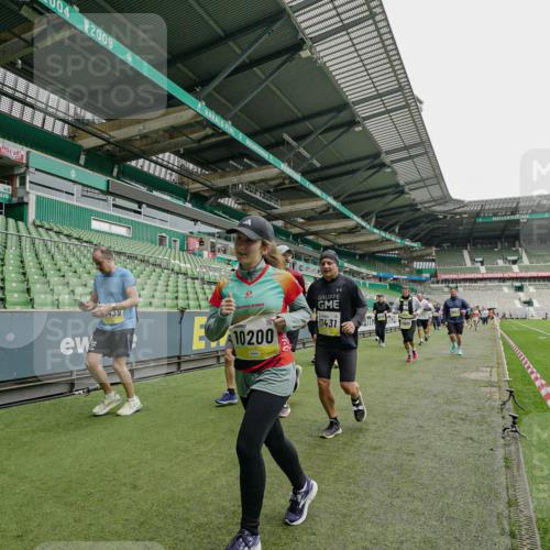 05.10.2025 - 20. swb-Marathon Bremen Michael Burmester http://msf.ph/oto/9224449 05.10.2025 10:34:47 Laufen im Stadion 7101, 7147, 7215, 9183, 9188, 9201, 9219, 9292, 9372, 9430, 9472, 9540, 9547, 9585, 9591, 9622, 9669, 9672, 9714, 9719, 9720, 9722, 9766, 9783, 9797, 9820, 9844, 9847, 9872, 9925, 9932, 9943, 9947, 9952, 9981, 10003, 10005, 10009, 10024, 10069, 10080, 10088, 10111, 10169, 10178, 10191, 10196, 10200, 10260, 10261, 10263, 10281, 10285, 10329, 10341, 10397, 10398, 10408, 10424, 10527, 10641, 10644, 10645, 10648, 10653, 10694, 10834, 10845, 10950, 10988, 9529 meine-sportfotos.de