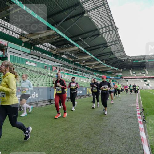 05.10.2025 - 20. swb-Marathon Bremen Michael Burmester http://msf.ph/oto/9225652 05.10.2025 10:41:00 Laufen im Stadion 7706, 8111, 9001, 9178, 9191, 9205, 9217, 9245, 9274, 9306, 9321, 9334, 9353, 9355, 9357, 9438, 9440, 9446, 9466, 9483, 9530, 9537, 9589, 9599, 9605, 9617, 9685, 9690, 9702, 9712, 9757, 9764, 9774, 9804, 9853, 9874, 9877, 9892, 9942, 10001, 10037, 10058, 10081, 10100, 10101, 10135, 10168, 10193, 10235, 10236, 10243, 10295, 10343, 10419, 10458, 10550, 10563, 10580, 10582, 10585, 10632, 11090, 11270, 7799, 9241, 9554, 9571, 9619, 9931 meine-sportfotos.de
