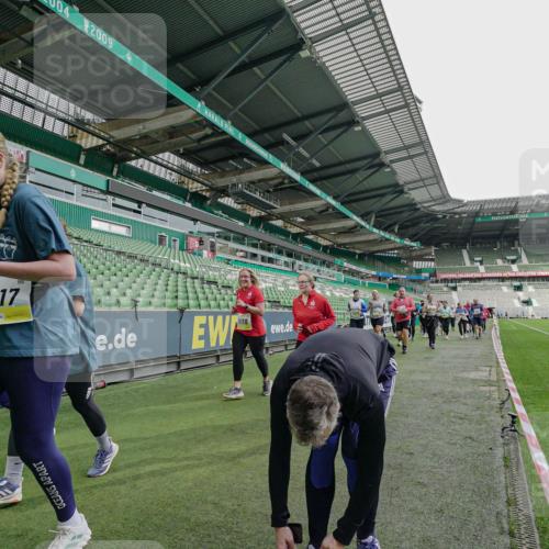 05.10.2025 - 20. swb-Marathon Bremen Michael Burmester http://msf.ph/oto/9226336 05.10.2025 10:45:14 Laufen im Stadion 7109, 7110, 8476, 9242, 9264, 9342, 9441, 9567, 9631, 9756, 9767, 9768, 9899, 9948, 9970, 10000, 10114, 10115, 10190, 10282, 10292, 10339, 10340, 10379, 10622, 10647, 10671, 10728, 10752, 10808, 10842, 10846, 10957, 11060, 11085, 11117, 11118, 11139, 11264, 11293, 11367, 11375, 11378, 11407, 11541, 11557, 7007, 8844, 9012, 9303, 9479, 9572, 9667, 10273, 10364, 10665, 10984, 11072, 11252, 11385, 11448, 11544 meine-sportfotos.de