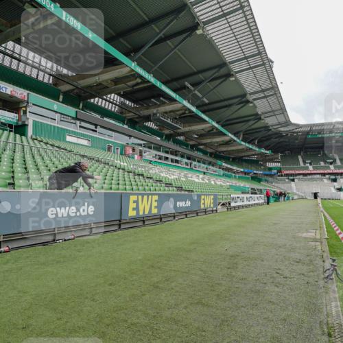 05.10.2025 - 20. swb-Marathon Bremen Michael Burmester http://msf.ph/oto/9227508 05.10.2025 11:56:20 Laufen im Stadion 49 meine-sportfotos.de