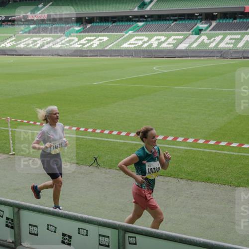 05.10.2025 - 20. swb-Marathon Bremen Michael Burmester http://msf.ph/oto/9233880 05.10.2025 10:31:40 Laufen im Stadion 7193, 7251, 8888, 9004, 9172, 9196, 9226, 9252, 9256, 9263, 9267, 9277, 9287, 9337, 9415, 9416, 9425, 9431, 9449, 9457, 9506, 9581, 9584, 9715, 9742, 9791, 9807, 9852, 9871, 9903, 9934, 10014, 10016, 10019, 10020, 10029, 10057, 10163, 10199, 10206, 10222, 10226, 10240, 10279, 10296, 10310, 10317, 10321, 10327, 10335, 10356, 10369, 10438, 10449, 10468, 10514, 10537, 10543, 10609, 10616, 10636, 10638, 10655, 10662, 10668, 10669, 10698, 10719, 10743, 10785, 9214, 9230 meine-sportfotos.de