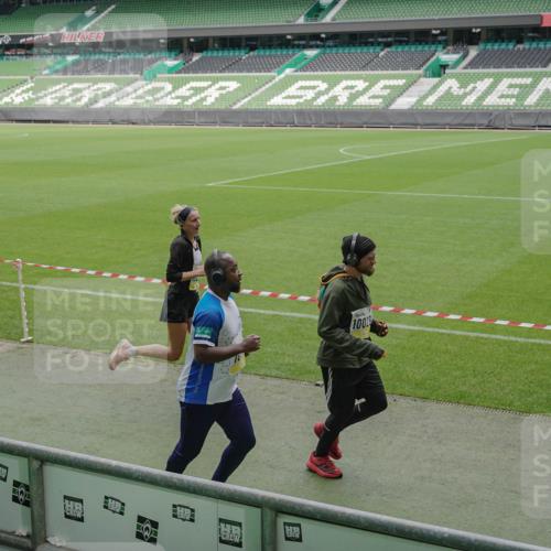 05.10.2025 - 20. swb-Marathon Bremen Michael Burmester http://msf.ph/oto/9233924 05.10.2025 10:31:42 Laufen im Stadion 7193, 7251, 8888, 9004, 9172, 9196, 9226, 9252, 9256, 9263, 9267, 9277, 9287, 9337, 9415, 9431, 9449, 9457, 9506, 9581, 9584, 9715, 9742, 9791, 9807, 9852, 9871, 9903, 9934, 10014, 10016, 10019, 10020, 10029, 10057, 10163, 10199, 10206, 10222, 10226, 10240, 10279, 10296, 10310, 10317, 10321, 10327, 10335, 10356, 10369, 10438, 10449, 10468, 10514, 10537, 10543, 10609, 10616, 10636, 10638, 10655, 10662, 10668, 10669, 10698, 10719, 10743, 10785, 9214 meine-sportfotos.de
