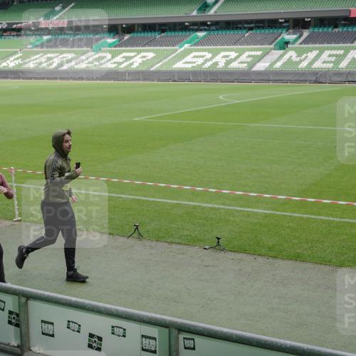 05.10.2025 - 20. swb-Marathon Bremen Michael Burmester http://msf.ph/oto/9234332 05.10.2025 10:31:56 Laufen im Stadion 7193, 7251, 8118, 8888, 9004, 9172, 9196, 9226, 9252, 9256, 9287, 9337, 9415, 9427, 9431, 9457, 9506, 9581, 9621, 9701, 9776, 9807, 9871, 9903, 9956, 10014, 10019, 10020, 10029, 10038, 10057, 10064, 10075, 10128, 10163, 10199, 10206, 10222, 10226, 10240, 10242, 10262, 10279, 10296, 10310, 10327, 10335, 10369, 10438, 10468, 10537, 10543, 10609, 10616, 10655, 10662, 10668, 10669, 10698, 10719, 10743, 10785, 9267, 9431 meine-sportfotos.de