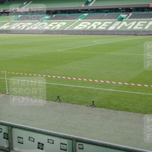 05.10.2025 - 20. swb-Marathon Bremen Michael Burmester http://msf.ph/oto/9234586 05.10.2025 10:32:03 Laufen im Stadion 7193, 8118, 8326, 8333, 8888, 9172, 9176, 9196, 9226, 9256, 9313, 9415, 9427, 9439, 9506, 9581, 9621, 9701, 9776, 9807, 9834, 9868, 9871, 9903, 9956, 9957, 10014, 10019, 10020, 10029, 10038, 10057, 10064, 10075, 10128, 10206, 10215, 10222, 10226, 10242, 10262, 10279, 10296, 10310, 10327, 10335, 10369, 10460, 10468, 10616, 10655, 10662, 10668, 10698, 10719, 10743, 10785, 7251, 9004, 9252, 9267, 9287, 9337, 9431, 9457 meine-sportfotos.de