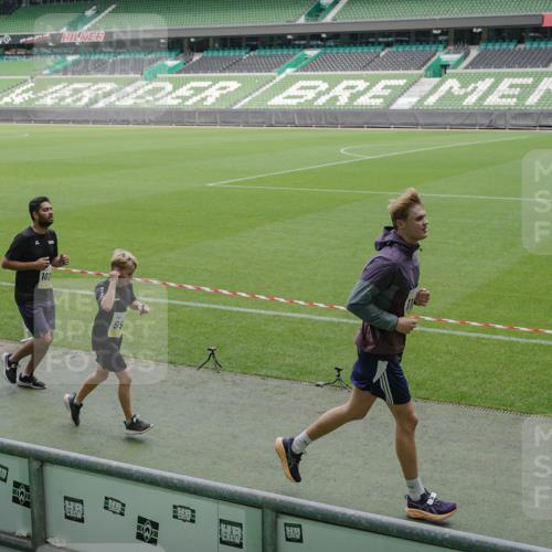 05.10.2025 - 20. swb-Marathon Bremen Michael Burmester http://msf.ph/oto/9234854 05.10.2025 10:32:13 Laufen im Stadion 7193, 8118, 8326, 8333, 8888, 9176, 9226, 9238, 9256, 9268, 9284, 9313, 9415, 9427, 9436, 9439, 9456, 9514, 9517, 9581, 9621, 9701, 9776, 9807, 9830, 9834, 9868, 9871, 9903, 9956, 9957, 9985, 10014, 10019, 10020, 10029, 10038, 10057, 10064, 10075, 10128, 10206, 10215, 10226, 10242, 10262, 10296, 10310, 10327, 10335, 10369, 10385, 10388, 10416, 10460, 10468, 10616, 10662, 10719, 10785, 7251, 9004, 9172, 9196, 9252, 9287, 9337, 9431, 9457, 9506, 10222 meine-sportfotos.de