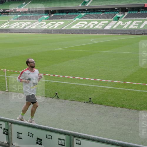 05.10.2025 - 20. swb-Marathon Bremen Michael Burmester http://msf.ph/oto/9238800 05.10.2025 10:33:51 Laufen im Stadion 5172, 7077, 9000, 9221, 9258, 9266, 9282, 9309, 9314, 9359, 9424, 9489, 9520, 9521, 9529, 9539, 9541, 9560, 9569, 9577, 9633, 9654, 9717, 9811, 9835, 9855, 9881, 9882, 9902, 9935, 10003, 10005, 10015, 10024, 10028, 10032, 10069, 10107, 10116, 10178, 10180, 10195, 10231, 10232, 10233, 10256, 10287, 10302, 10307, 10323, 10466, 10484, 10533, 10546, 10590, 10591, 10755, 10758, 10794, 10915, 10992, 9195, 9197, 9260, 9295, 9367, 9392, 9402, 9461, 9492 meine-sportfotos.de