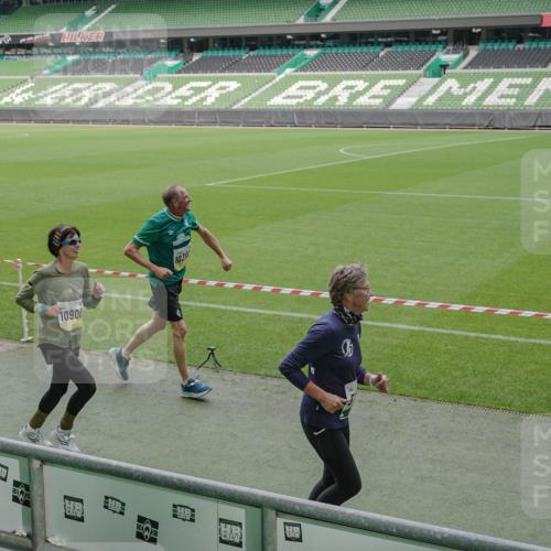 05.10.2025 - 20. swb-Marathon Bremen Michael Burmester http://msf.ph/oto/9238850 05.10.2025 10:33:52 Laufen im Stadion 5172, 7077, 9000, 9221, 9258, 9266, 9282, 9309, 9314, 9359, 9424, 9489, 9520, 9521, 9529, 9541, 9560, 9569, 9577, 9633, 9654, 9717, 9811, 9835, 9855, 9881, 9882, 9902, 9935, 10003, 10005, 10015, 10024, 10028, 10032, 10069, 10107, 10116, 10178, 10180, 10195, 10231, 10232, 10233, 10256, 10287, 10302, 10307, 10323, 10466, 10484, 10533, 10546, 10590, 10591, 10641, 10755, 10758, 10794, 10915, 10992, 9195, 9197, 9260, 9295, 9367, 9392, 9402, 9461, 9492 meine-sportfotos.de