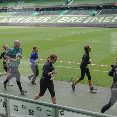 05.10.2025 - 20. swb-Marathon Bremen Michael Burmester http://msf.ph/oto/9239952 05.10.2025 10:34:24 Laufen im Stadion 5172, 7101, 7147, 7215, 9266, 9292, 9309, 9314, 9372, 9430, 9472, 9489, 9521, 9529, 9547, 9585, 9591, 9669, 9714, 9719, 9720, 9783, 9797, 9820, 9844, 9872, 9881, 9882, 9902, 9932, 9943, 9947, 10003, 10005, 10009, 10015, 10024, 10028, 10069, 10088, 10107, 10111, 10116, 10178, 10180, 10191, 10195, 10196, 10200, 10231, 10261, 10285, 10287, 10302, 10307, 10329, 10341, 10397, 10398, 10408, 10424, 10466, 10527, 10546, 10590, 10641, 10645, 10648, 10758 meine-sportfotos.de