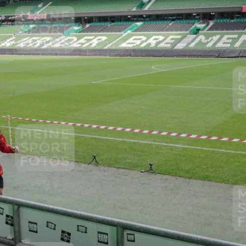 05.10.2025 - 20. swb-Marathon Bremen Michael Burmester http://msf.ph/oto/9240068 05.10.2025 10:34:28 Laufen im Stadion 5172, 7101, 7147, 7215, 9266, 9292, 9309, 9314, 9372, 9430, 9472, 9489, 9521, 9529, 9547, 9585, 9591, 9669, 9714, 9719, 9720, 9766, 9783, 9797, 9820, 9844, 9847, 9872, 9881, 9882, 9902, 9932, 9943, 9947, 9952, 9981, 10003, 10005, 10009, 10015, 10024, 10028, 10069, 10080, 10088, 10107, 10111, 10116, 10178, 10191, 10195, 10196, 10200, 10231, 10260, 10261, 10285, 10287, 10302, 10329, 10341, 10397, 10398, 10408, 10424, 10466, 10527, 10590, 10641, 10645, 10648, 10653 meine-sportfotos.de