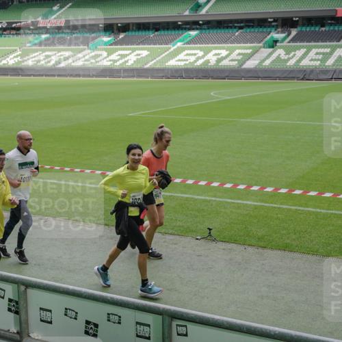 05.10.2025 - 20. swb-Marathon Bremen Michael Burmester http://msf.ph/oto/9240168 05.10.2025 10:34:30 Laufen im Stadion 7101, 7147, 7215, 9266, 9292, 9309, 9314, 9372, 9430, 9472, 9489, 9521, 9529, 9547, 9585, 9591, 9669, 9672, 9714, 9719, 9720, 9766, 9783, 9797, 9820, 9844, 9847, 9872, 9881, 9882, 9902, 9925, 9932, 9943, 9947, 9952, 9981, 10003, 10005, 10009, 10015, 10024, 10028, 10069, 10080, 10088, 10107, 10111, 10116, 10178, 10191, 10195, 10196, 10200, 10231, 10260, 10261, 10285, 10302, 10329, 10341, 10397, 10398, 10408, 10424, 10466, 10527, 10590, 10641, 10645, 10648, 10653, 9529 meine-sportfotos.de