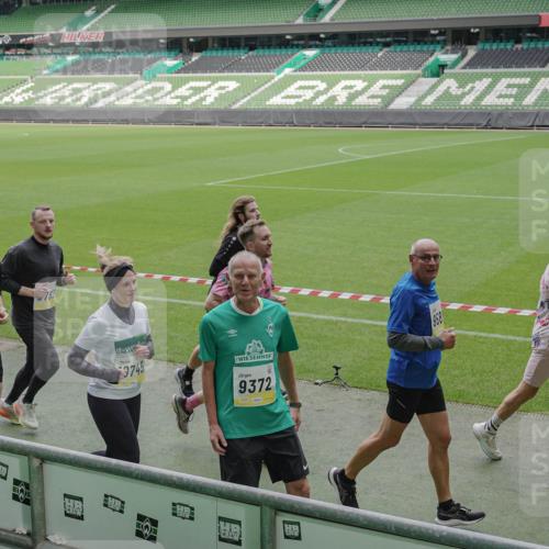 05.10.2025 - 20. swb-Marathon Bremen Michael Burmester http://msf.ph/oto/9240271 05.10.2025 10:34:32 Laufen im Stadion 7101, 7147, 7215, 9219, 9266, 9292, 9309, 9314, 9372, 9430, 9472, 9489, 9521, 9540, 9547, 9585, 9591, 9669, 9672, 9714, 9719, 9720, 9766, 9783, 9797, 9820, 9844, 9847, 9872, 9881, 9882, 9902, 9925, 9932, 9943, 9947, 9952, 9981, 10003, 10005, 10009, 10015, 10024, 10028, 10069, 10080, 10088, 10107, 10111, 10116, 10178, 10191, 10195, 10196, 10200, 10231, 10260, 10261, 10285, 10329, 10341, 10397, 10398, 10408, 10424, 10466, 10527, 10590, 10641, 10645, 10648, 10653, 9529 meine-sportfotos.de