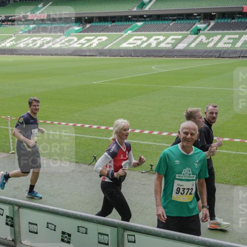 05.10.2025 - 20. swb-Marathon Bremen Michael Burmester http://msf.ph/oto/9240314 05.10.2025 10:34:34 Laufen im Stadion 7101, 7147, 7215, 9188, 9219, 9266, 9292, 9309, 9314, 9372, 9430, 9472, 9489, 9521, 9540, 9547, 9585, 9591, 9669, 9672, 9714, 9719, 9720, 9766, 9783, 9797, 9820, 9844, 9847, 9872, 9902, 9925, 9932, 9943, 9947, 9952, 9981, 10003, 10005, 10009, 10024, 10028, 10069, 10080, 10088, 10107, 10111, 10116, 10178, 10191, 10195, 10196, 10200, 10260, 10261, 10263, 10285, 10329, 10341, 10397, 10398, 10408, 10424, 10466, 10527, 10590, 10641, 10645, 10648, 10653, 9529 meine-sportfotos.de