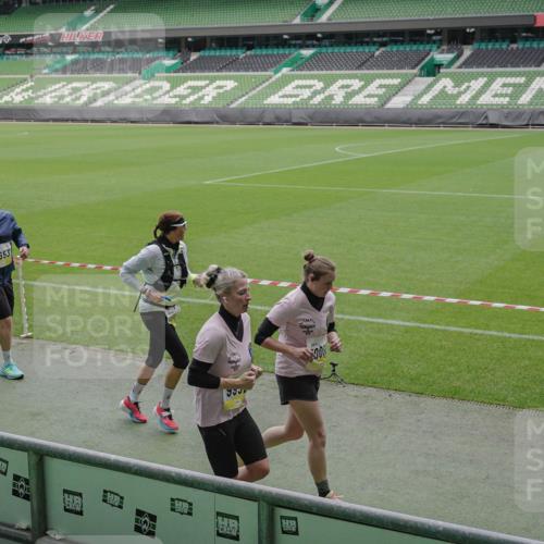 05.10.2025 - 20. swb-Marathon Bremen Michael Burmester http://msf.ph/oto/9240857 05.10.2025 10:34:49 Laufen im Stadion 7101, 7147, 7215, 9183, 9188, 9201, 9219, 9292, 9372, 9430, 9472, 9540, 9547, 9585, 9591, 9622, 9669, 9672, 9714, 9719, 9720, 9722, 9766, 9783, 9797, 9820, 9844, 9847, 9872, 9925, 9932, 9943, 9947, 9952, 9981, 10003, 10005, 10009, 10024, 10080, 10088, 10111, 10169, 10191, 10196, 10200, 10260, 10261, 10263, 10281, 10285, 10329, 10341, 10397, 10398, 10408, 10424, 10527, 10641, 10644, 10645, 10648, 10653, 10694, 10834, 10845, 10950, 10988, 9529 meine-sportfotos.de