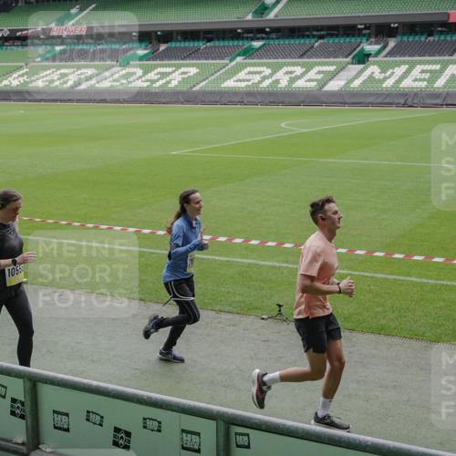 05.10.2025 - 20. swb-Marathon Bremen Michael Burmester http://msf.ph/oto/9241714 05.10.2025 10:35:13 Laufen im Stadion 7147, 7163, 9183, 9188, 9201, 9219, 9292, 9350, 9430, 9495, 9508, 9540, 9550, 9576, 9582, 9601, 9612, 9622, 9625, 9666, 9669, 9672, 9720, 9722, 9766, 9790, 9797, 9847, 9886, 9925, 9952, 9968, 9981, 10049, 10055, 10080, 10084, 10088, 10105, 10145, 10169, 10179, 10200, 10225, 10260, 10263, 10281, 10329, 10341, 10368, 10377, 10395, 10397, 10527, 10555, 10644, 10645, 10653, 10694, 10834, 10845, 10950, 10988, 7101, 7215, 9372, 9472, 9547, 9585, 9719, 9783, 9820 meine-sportfotos.de