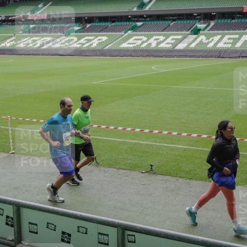 05.10.2025 - 20. swb-Marathon Bremen Michael Burmester http://msf.ph/oto/9242199 05.10.2025 10:35:29 Laufen im Stadion 7163, 9183, 9188, 9201, 9219, 9231, 9330, 9350, 9433, 9451, 9495, 9508, 9540, 9550, 9576, 9582, 9601, 9609, 9612, 9622, 9625, 9634, 9666, 9672, 9722, 9790, 9886, 9904, 9914, 9925, 9937, 9954, 9962, 9968, 10039, 10049, 10055, 10059, 10063, 10084, 10105, 10138, 10145, 10169, 10179, 10225, 10250, 10263, 10281, 10353, 10359, 10368, 10377, 10395, 10555, 10644, 10694, 10834, 10845, 10950, 10988, 7147, 9292, 9430, 9669, 9672, 9719, 9783 meine-sportfotos.de