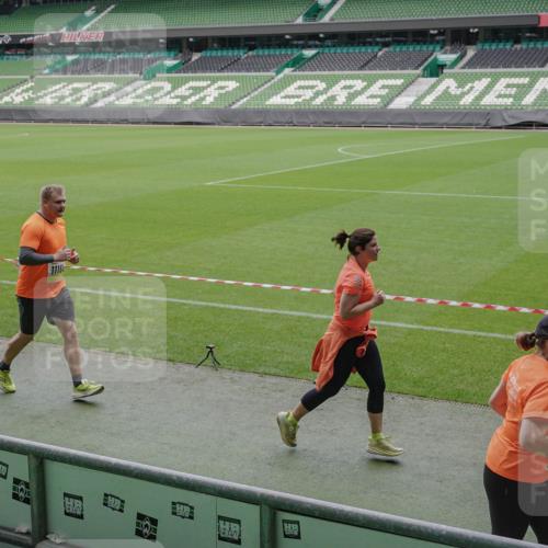 05.10.2025 - 20. swb-Marathon Bremen Michael Burmester http://msf.ph/oto/9242455 05.10.2025 10:35:36 Laufen im Stadion 7163, 7177, 7178, 9183, 9201, 9231, 9330, 9350, 9433, 9451, 9495, 9508, 9516, 9518, 9542, 9550, 9576, 9582, 9601, 9609, 9612, 9622, 9625, 9634, 9666, 9722, 9737, 9790, 9886, 9904, 9914, 9937, 9954, 9962, 9968, 10006, 10039, 10049, 10055, 10059, 10063, 10079, 10084, 10105, 10127, 10138, 10139, 10145, 10169, 10179, 10225, 10228, 10250, 10281, 10336, 10353, 10359, 10368, 10377, 10395, 10555, 10644, 10694, 10834, 10845, 10950, 10988, 7147, 9292, 9430, 9669, 9672 meine-sportfotos.de