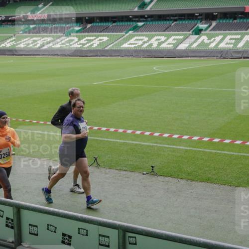 05.10.2025 - 20. swb-Marathon Bremen Michael Burmester http://msf.ph/oto/9242798 05.10.2025 10:35:48 Laufen im Stadion 7163, 7177, 7178, 9173, 9174, 9231, 9278, 9327, 9330, 9350, 9378, 9389, 9433, 9450, 9451, 9462, 9495, 9508, 9516, 9518, 9542, 9550, 9576, 9582, 9601, 9609, 9612, 9625, 9634, 9666, 9737, 9790, 9880, 9886, 9904, 9914, 9937, 9954, 9962, 9968, 9977, 10006, 10039, 10049, 10055, 10059, 10063, 10079, 10084, 10105, 10127, 10138, 10139, 10143, 10145, 10179, 10182, 10225, 10228, 10250, 10293, 10336, 10353, 10359, 10367, 10368, 10377, 10395, 10555, 9672 meine-sportfotos.de
