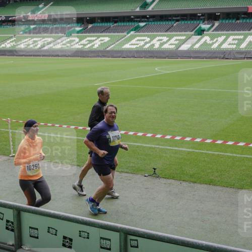 05.10.2025 - 20. swb-Marathon Bremen Michael Burmester http://msf.ph/oto/9242819 05.10.2025 10:35:48 Laufen im Stadion 7163, 7177, 7178, 9173, 9174, 9231, 9278, 9327, 9330, 9350, 9378, 9389, 9433, 9450, 9451, 9462, 9495, 9508, 9516, 9518, 9542, 9550, 9576, 9582, 9601, 9609, 9612, 9625, 9634, 9666, 9737, 9790, 9880, 9886, 9904, 9914, 9937, 9954, 9962, 9968, 9977, 10006, 10039, 10049, 10055, 10059, 10063, 10079, 10084, 10105, 10127, 10138, 10139, 10143, 10145, 10179, 10182, 10225, 10228, 10250, 10293, 10336, 10353, 10359, 10367, 10368, 10377, 10395, 10555, 9672 meine-sportfotos.de