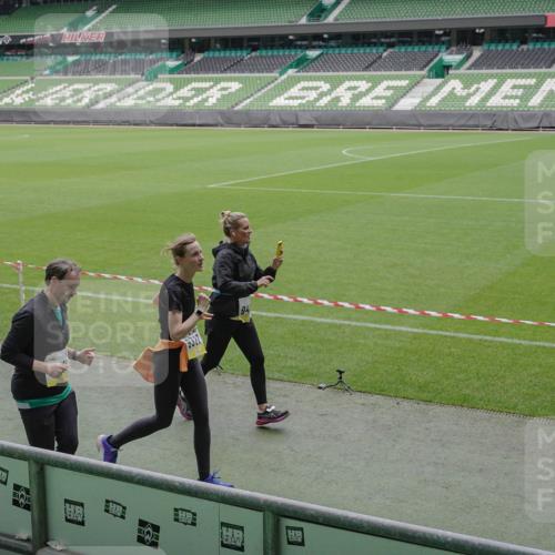 05.10.2025 - 20. swb-Marathon Bremen Michael Burmester http://msf.ph/oto/9243715 05.10.2025 10:36:14 Laufen im Stadion 7123, 7177, 7178, 7908, 8585, 9005, 9173, 9174, 9215, 9231, 9278, 9327, 9330, 9346, 9349, 9370, 9371, 9378, 9389, 9433, 9443, 9450, 9451, 9454, 9462, 9516, 9518, 9542, 9568, 9593, 9608, 9609, 9611, 9613, 9634, 9635, 9686, 9737, 9747, 9880, 9904, 9914, 9937, 9954, 9962, 9977, 9991, 10006, 10039, 10059, 10063, 10079, 10127, 10138, 10139, 10143, 10182, 10219, 10228, 10250, 10293, 10311, 10324, 10336, 10353, 10357, 10359, 10367, 10391, 10406, 10560, 10901, 7163 meine-sportfotos.de