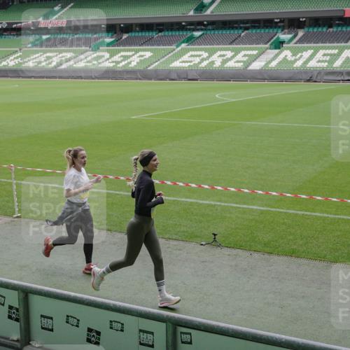 05.10.2025 - 20. swb-Marathon Bremen Michael Burmester http://msf.ph/oto/9243971 05.10.2025 10:36:22 Laufen im Stadion 7123, 7177, 7178, 7908, 8585, 9005, 9173, 9174, 9215, 9231, 9278, 9294, 9327, 9330, 9346, 9349, 9370, 9371, 9378, 9389, 9433, 9443, 9450, 9451, 9454, 9462, 9516, 9518, 9542, 9568, 9593, 9608, 9609, 9611, 9613, 9634, 9635, 9686, 9737, 9747, 9827, 9880, 9904, 9937, 9954, 9977, 9991, 10006, 10030, 10063, 10079, 10093, 10127, 10138, 10139, 10143, 10182, 10209, 10219, 10228, 10250, 10293, 10311, 10324, 10336, 10357, 10367, 10391, 10406, 10558, 10560, 10809, 10901 meine-sportfotos.de