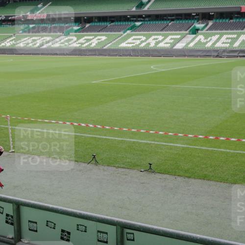 05.10.2025 - 20. swb-Marathon Bremen Michael Burmester http://msf.ph/oto/9244390 05.10.2025 10:36:37 Laufen im Stadion 7123, 7777, 7908, 8585, 9005, 9173, 9174, 9215, 9271, 9272, 9278, 9294, 9327, 9346, 9349, 9370, 9371, 9378, 9389, 9443, 9450, 9454, 9462, 9473, 9568, 9593, 9604, 9608, 9611, 9613, 9635, 9655, 9673, 9686, 9692, 9747, 9812, 9827, 9880, 9913, 9977, 9991, 10004, 10026, 10030, 10071, 10093, 10143, 10182, 10209, 10217, 10219, 10293, 10311, 10324, 10357, 10367, 10391, 10406, 10492, 10558, 10560, 10588, 10656, 10679, 10762, 10809, 10901, 7177, 9231, 9330 meine-sportfotos.de