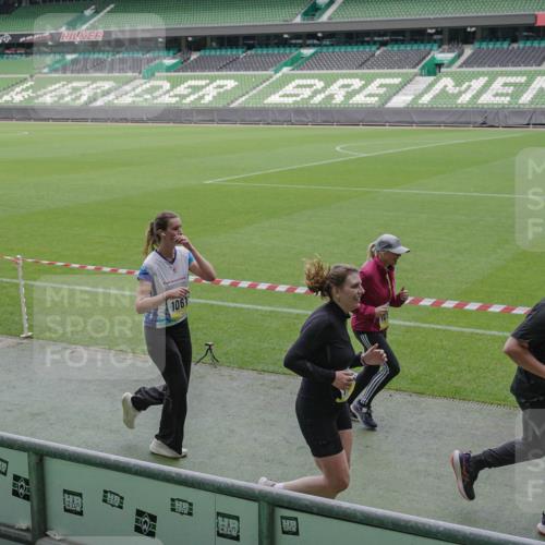 05.10.2025 - 20. swb-Marathon Bremen Michael Burmester http://msf.ph/oto/9246616 05.10.2025 10:38:06 Laufen im Stadion 7621, 7776, 8574, 9189, 9210, 9237, 9360, 9365, 9426, 9432, 9448, 9468, 9486, 9498, 9532, 9536, 9642, 9647, 9684, 9707, 9748, 9750, 9813, 9846, 9858, 9893, 10033, 10056, 10098, 10130, 10167, 10194, 10265, 10271, 10274, 10278, 10301, 10437, 10471, 10477, 10485, 10510, 10530, 10595, 10598, 10611, 10678, 10711, 10713, 10777, 10803, 10804, 10825, 10826, 10829, 10837, 10872, 10876, 10995, 11001, 11050, 11121, 11124, 11150, 11162, 11183, 11415, 9381, 9531 meine-sportfotos.de