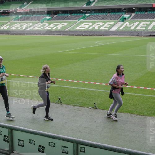05.10.2025 - 20. swb-Marathon Bremen Michael Burmester http://msf.ph/oto/9246711 05.10.2025 10:38:09 Laufen im Stadion 7621, 7776, 8574, 9189, 9210, 9237, 9360, 9365, 9426, 9432, 9448, 9468, 9486, 9498, 9536, 9642, 9647, 9684, 9707, 9748, 9750, 9813, 9846, 9858, 9893, 9915, 9940, 10033, 10056, 10098, 10130, 10167, 10194, 10205, 10265, 10271, 10274, 10278, 10301, 10437, 10471, 10477, 10478, 10485, 10510, 10530, 10595, 10598, 10611, 10678, 10711, 10713, 10777, 10803, 10804, 10825, 10826, 10829, 10837, 10876, 10995, 11001, 11050, 11121, 11150, 11162, 11183, 11415, 9381, 9531 meine-sportfotos.de