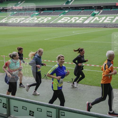 05.10.2025 - 20. swb-Marathon Bremen Michael Burmester http://msf.ph/oto/9246857 05.10.2025 10:38:16 Laufen im Stadion 7621, 8574, 9184, 9189, 9210, 9235, 9237, 9322, 9335, 9365, 9426, 9432, 9448, 9468, 9486, 9498, 9536, 9642, 9647, 9684, 9707, 9748, 9750, 9771, 9813, 9846, 9858, 9893, 9915, 9940, 9978, 10033, 10056, 10098, 10130, 10167, 10194, 10205, 10265, 10271, 10274, 10278, 10301, 10404, 10437, 10439, 10471, 10478, 10485, 10510, 10530, 10595, 10598, 10611, 10678, 10711, 10713, 10777, 10803, 10804, 10825, 10826, 10829, 11001, 11050, 11121, 11150, 11162, 11183 meine-sportfotos.de