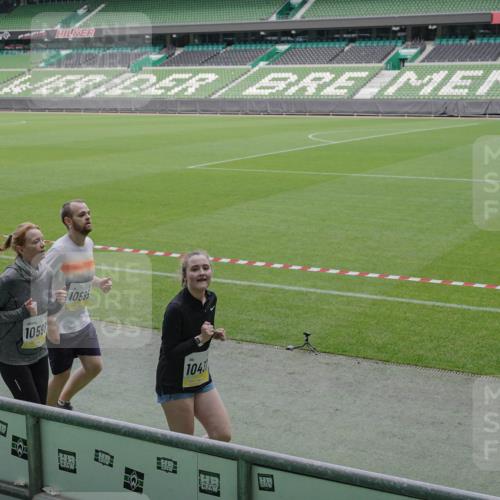 05.10.2025 - 20. swb-Marathon Bremen Michael Burmester http://msf.ph/oto/9246930 05.10.2025 10:38:18 Laufen im Stadion 7621, 8574, 9184, 9189, 9210, 9235, 9237, 9322, 9335, 9365, 9409, 9426, 9432, 9448, 9468, 9486, 9498, 9536, 9642, 9647, 9684, 9707, 9748, 9750, 9771, 9813, 9846, 9858, 9893, 9915, 9940, 9978, 10033, 10056, 10098, 10130, 10167, 10194, 10205, 10274, 10278, 10301, 10404, 10437, 10439, 10471, 10478, 10485, 10510, 10530, 10595, 10598, 10611, 10678, 10711, 10713, 10803, 10804, 10825, 10826, 10829, 11001, 11050, 11121, 11150, 11162, 11183 meine-sportfotos.de
