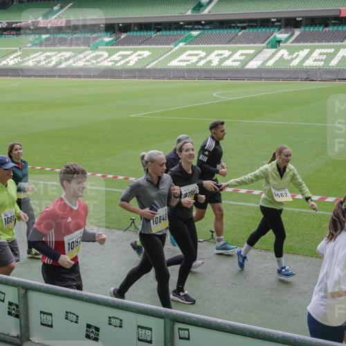 05.10.2025 - 20. swb-Marathon Bremen Michael Burmester http://msf.ph/oto/9249960 05.10.2025 10:40:00 Laufen im Stadion 7654, 7779, 7789, 7799, 7979, 9002, 9180, 9186, 9220, 9224, 9225, 9228, 9241, 9275, 9286, 9308, 9315, 9325, 9387, 9419, 9423, 9491, 9515, 9523, 9552, 9554, 9571, 9615, 9619, 9623, 9644, 9661, 9662, 9713, 9721, 9780, 9786, 9866, 9901, 9908, 9931, 9944, 9976, 10018, 10021, 10025, 10157, 10160, 10185, 10192, 10207, 10238, 10286, 10289, 10374, 10383, 10422, 10426, 10451, 10462, 10531, 10532, 10542, 10567, 10587, 10597, 10603, 10604, 10619, 10674, 10699, 10737, 10749 meine-sportfotos.de