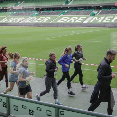 05.10.2025 - 20. swb-Marathon Bremen Michael Burmester http://msf.ph/oto/9251165 05.10.2025 10:40:49 Laufen im Stadion 7706, 7799, 8111, 9001, 9178, 9191, 9205, 9217, 9245, 9275, 9306, 9308, 9321, 9334, 9353, 9355, 9387, 9423, 9438, 9440, 9446, 9466, 9483, 9491, 9530, 9537, 9552, 9589, 9605, 9615, 9617, 9623, 9685, 9690, 9702, 9712, 9721, 9764, 9804, 9853, 9866, 9877, 9892, 9942, 10001, 10037, 10058, 10081, 10100, 10101, 10135, 10160, 10168, 10193, 10235, 10243, 10343, 10419, 10550, 10563, 10580, 10674, 10699, 10737, 11090, 11270, 9220, 9241, 9286, 9554, 9571, 9619, 9662, 9931 meine-sportfotos.de