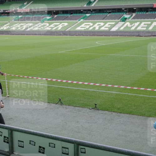 05.10.2025 - 20. swb-Marathon Bremen Michael Burmester http://msf.ph/oto/9251735 05.10.2025 10:41:07 Laufen im Stadion 7706, 8111, 9001, 9178, 9191, 9205, 9217, 9245, 9274, 9306, 9321, 9334, 9353, 9355, 9357, 9401, 9438, 9440, 9446, 9466, 9483, 9530, 9537, 9589, 9599, 9605, 9617, 9685, 9690, 9702, 9712, 9757, 9764, 9774, 9804, 9853, 9874, 9877, 9887, 9892, 9942, 10001, 10037, 10051, 10058, 10081, 10095, 10100, 10101, 10135, 10152, 10168, 10197, 10235, 10236, 10243, 10249, 10295, 10330, 10332, 10343, 10419, 10458, 10550, 10563, 10580, 10582, 10585, 10614, 10632, 7799 meine-sportfotos.de