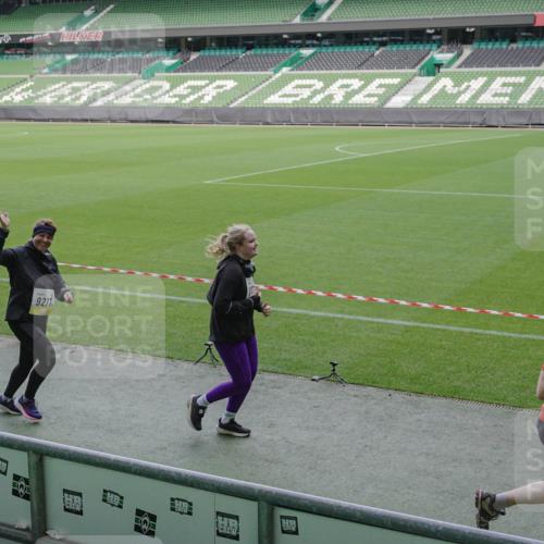 05.10.2025 - 20. swb-Marathon Bremen Michael Burmester http://msf.ph/oto/9252044 05.10.2025 10:41:19 Laufen im Stadion 7706, 9001, 9178, 9191, 9205, 9217, 9265, 9274, 9306, 9334, 9353, 9355, 9357, 9401, 9438, 9446, 9483, 9530, 9537, 9538, 9589, 9599, 9605, 9617, 9685, 9702, 9757, 9764, 9774, 9804, 9853, 9874, 9877, 9887, 9892, 9907, 9942, 10037, 10051, 10058, 10095, 10100, 10101, 10132, 10152, 10197, 10212, 10223, 10235, 10236, 10249, 10295, 10330, 10332, 10458, 10550, 10582, 10585, 10614, 10632 meine-sportfotos.de
