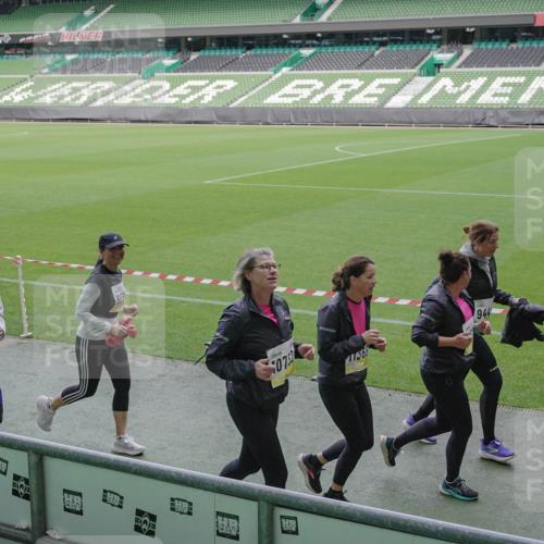 05.10.2025 - 20. swb-Marathon Bremen Michael Burmester http://msf.ph/oto/9252123 05.10.2025 10:41:22 Laufen im Stadion 7706, 8533, 9001, 9178, 9191, 9217, 9265, 9274, 9306, 9334, 9353, 9355, 9357, 9401, 9438, 9446, 9483, 9530, 9537, 9538, 9589, 9599, 9605, 9617, 9685, 9702, 9757, 9764, 9774, 9804, 9853, 9874, 9877, 9887, 9892, 9907, 9942, 9982, 10037, 10051, 10058, 10095, 10100, 10101, 10132, 10148, 10152, 10197, 10212, 10223, 10235, 10236, 10249, 10295, 10330, 10332, 10458, 10550, 10582, 10585, 10614, 10632, 11232, 11379, 11437 meine-sportfotos.de