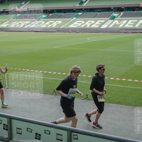 05.10.2025 - 20. swb-Marathon Bremen Michael Burmester http://msf.ph/oto/9252201 05.10.2025 10:41:25 Laufen im Stadion 7706, 8533, 9001, 9178, 9191, 9217, 9265, 9274, 9306, 9334, 9353, 9355, 9357, 9401, 9438, 9446, 9483, 9530, 9537, 9538, 9589, 9599, 9605, 9617, 9632, 9685, 9702, 9757, 9764, 9774, 9853, 9874, 9877, 9887, 9892, 9907, 9982, 10037, 10051, 10095, 10100, 10101, 10125, 10132, 10148, 10152, 10197, 10212, 10214, 10223, 10235, 10236, 10249, 10295, 10330, 10332, 10458, 10550, 10582, 10585, 10614, 10632, 10706, 10937, 11037, 11232, 11379, 11405, 11437 meine-sportfotos.de