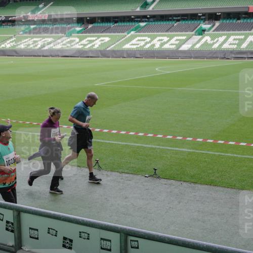 05.10.2025 - 20. swb-Marathon Bremen Michael Burmester http://msf.ph/oto/9252300 05.10.2025 10:41:27 Laufen im Stadion 7706, 8533, 9001, 9178, 9191, 9217, 9265, 9274, 9306, 9334, 9353, 9355, 9357, 9401, 9438, 9446, 9483, 9530, 9537, 9538, 9589, 9599, 9605, 9617, 9632, 9685, 9702, 9757, 9764, 9774, 9853, 9874, 9877, 9887, 9892, 9907, 9982, 10051, 10095, 10100, 10101, 10125, 10132, 10148, 10152, 10197, 10212, 10214, 10223, 10235, 10236, 10249, 10295, 10330, 10332, 10333, 10458, 10550, 10582, 10585, 10614, 10632, 10706, 10937, 10998, 11037, 11232, 11379, 11405, 11437 meine-sportfotos.de