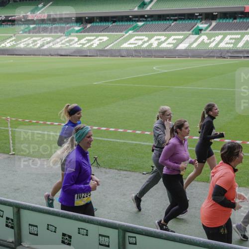 05.10.2025 - 20. swb-Marathon Bremen Michael Burmester http://msf.ph/oto/9252394 05.10.2025 10:41:30 Laufen im Stadion 7706, 8533, 9001, 9178, 9191, 9217, 9265, 9274, 9306, 9334, 9353, 9355, 9357, 9401, 9438, 9446, 9530, 9537, 9538, 9589, 9599, 9605, 9617, 9632, 9685, 9702, 9757, 9764, 9774, 9836, 9837, 9853, 9874, 9877, 9887, 9892, 9907, 9982, 10051, 10095, 10100, 10101, 10125, 10129, 10132, 10134, 10148, 10152, 10197, 10212, 10214, 10223, 10235, 10236, 10249, 10295, 10330, 10332, 10333, 10458, 10550, 10582, 10585, 10614, 10632, 10706, 10937, 10998, 11037, 11232, 11379, 11405, 11437 meine-sportfotos.de