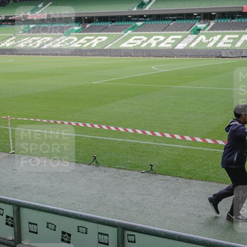 05.10.2025 - 20. swb-Marathon Bremen Michael Burmester http://msf.ph/oto/9254074 05.10.2025 10:42:34 Laufen im Stadion 7069, 8225, 8865, 9212, 9276, 9288, 9410, 9481, 9519, 9557, 9648, 9649, 9664, 9680, 9734, 9798, 9815, 9826, 9945, 9972, 9999, 10031, 10074, 10082, 10087, 10189, 10239, 10245, 10248, 10264, 10365, 10366, 10396, 10412, 10415, 10417, 10463, 10499, 10684, 10722, 10824, 10860, 10861, 10943, 11030, 11056, 11073, 11097, 11112, 11126, 11142, 11170, 11172, 11206, 11395, 11473, 11584, 11634, 8533, 9632, 9836, 9837, 9982, 10125, 10148, 10214, 10333, 10706, 10937, 10998 meine-sportfotos.de
