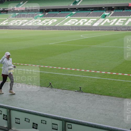 05.10.2025 - 20. swb-Marathon Bremen Michael Burmester http://msf.ph/oto/9254848 05.10.2025 10:43:04 Laufen im Stadion 8225, 9185, 9212, 9276, 9288, 9410, 9476, 9481, 9493, 9526, 9557, 9664, 9675, 9680, 9726, 9731, 9732, 9734, 9736, 9760, 9784, 9806, 9822, 9823, 9826, 9848, 9861, 9867, 9912, 9945, 9999, 10074, 10146, 10183, 10245, 10315, 10316, 10365, 10366, 10396, 10399, 10412, 10415, 10417, 10433, 10463, 10596, 10684, 10849, 10860, 10861, 10962, 10969, 11030, 11073, 11083, 11112, 11113, 11157, 11161, 11170, 11172, 11215, 11240, 11242, 11285, 11331, 11404, 11536, 9519, 9648, 9972 meine-sportfotos.de